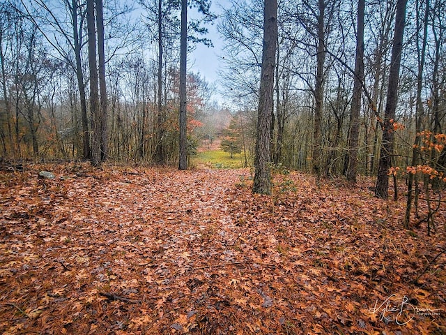 view of landscape