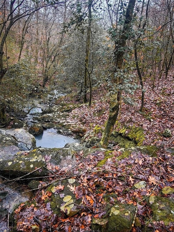 view of local wilderness