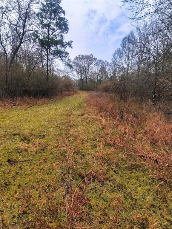 view of local wilderness