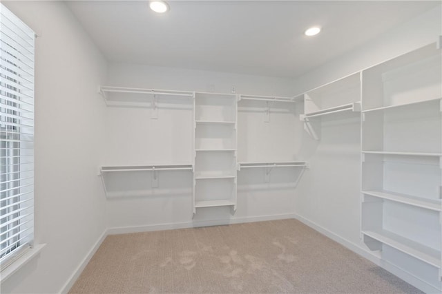 walk in closet with carpet floors