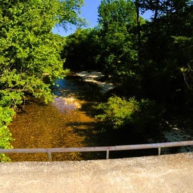 view of mother earth's splendor