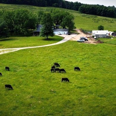 aerial view with a rural view