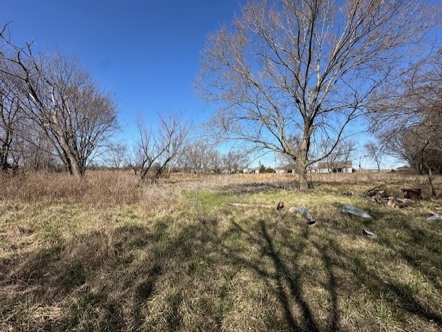 view of yard with a rural view