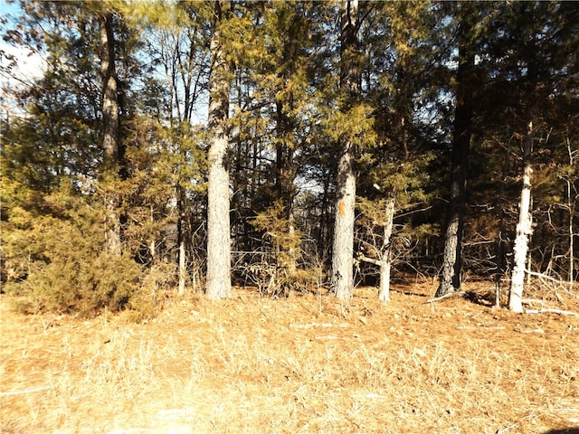 Listing photo 3 for LOT2 Iroquois Dr, Cherokee Village AR 72529