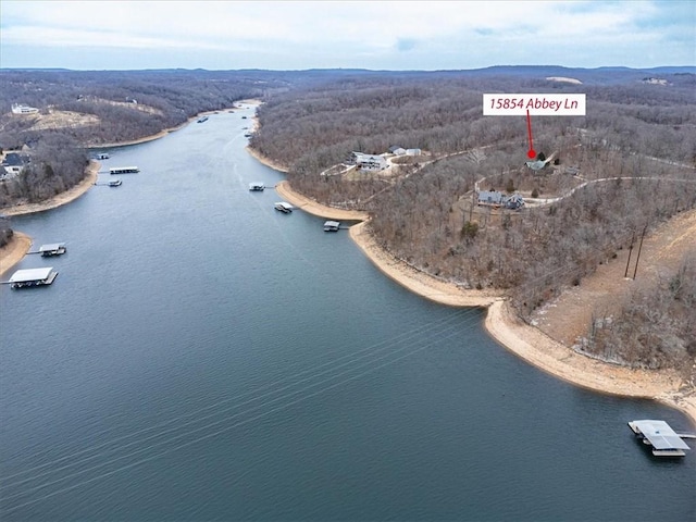 bird's eye view featuring a water view