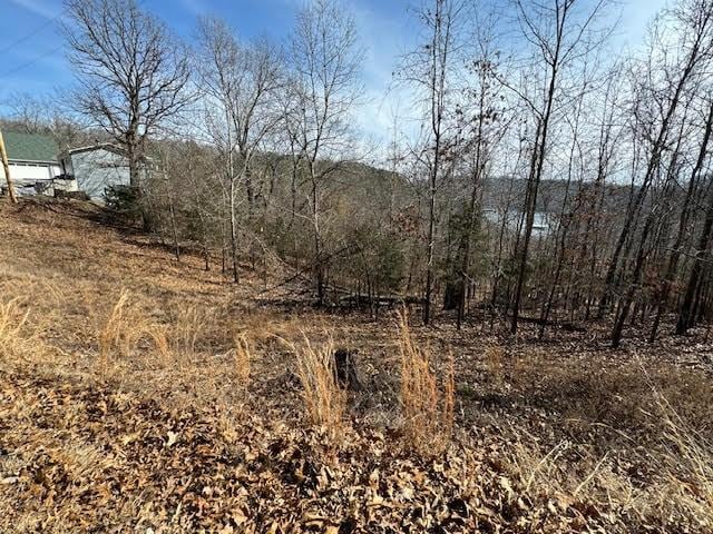 101 Amity Way, Eureka Springs, AR 72632 - photo 3