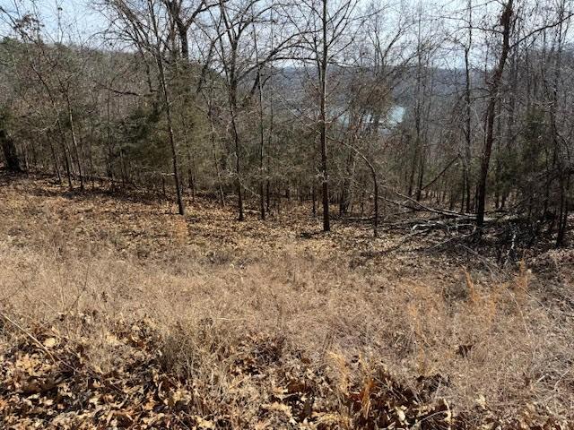 101 Amity Way, Eureka Springs, AR 72632 - photo 6