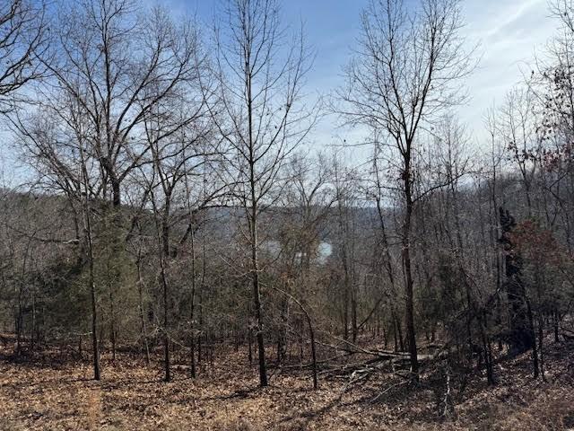 101 Amity Way, Eureka Springs, AR 72632 - photo 2