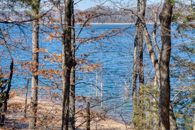 Honey Creek Rd, Eureka Springs, AR 72631 - photo 4