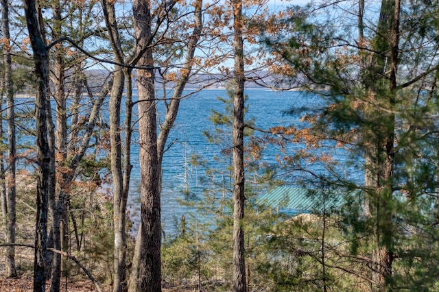Honey Creek Rd, Eureka Springs, AR 72631 - photo 6