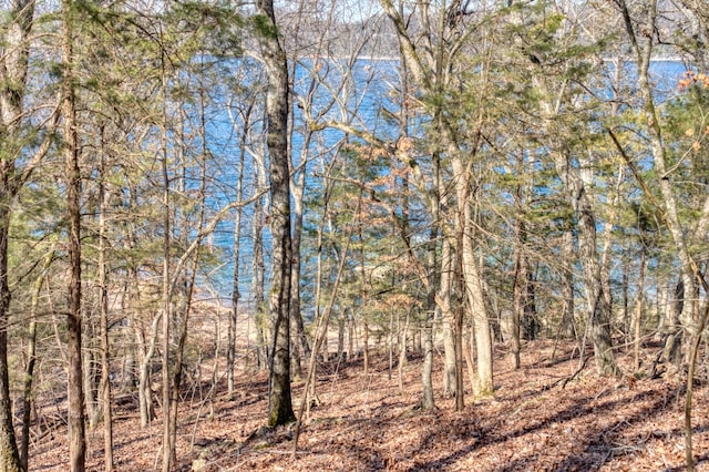 Honey Creek Rd, Eureka Springs, AR 72631 - photo 8