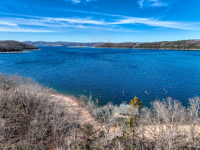 Honey Creek Rd, Eureka Springs, AR 72631 - photo 13