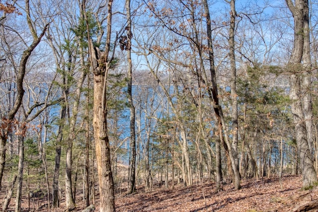 Honey Creek Rd, Eureka Springs, AR 72631 - photo 14