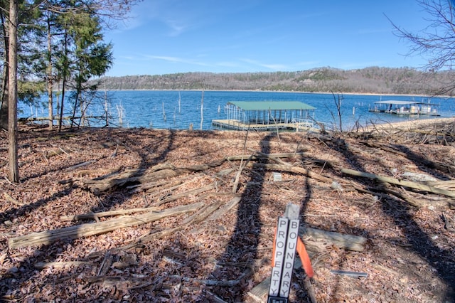 Honey Creek Rd, Eureka Springs, AR 72631 - photo 15