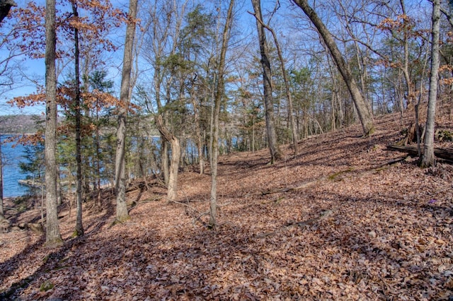 Honey Creek Rd, Eureka Springs, AR 72631 - photo 16
