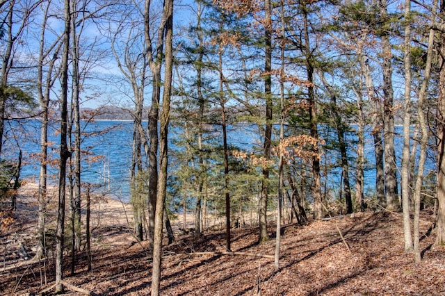 Honey Creek Rd, Eureka Springs, AR 72631 - photo 20