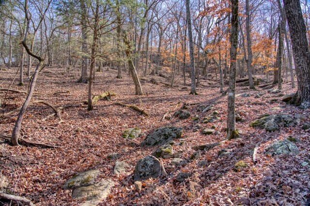 Honey Creek Rd, Eureka Springs, AR 72631 - photo 22