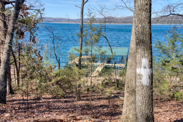 Honey Creek Rd, Eureka Springs, AR 72631 - photo 23