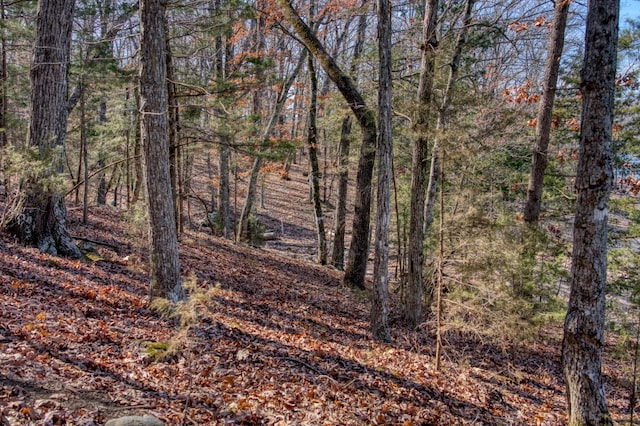 Honey Creek Rd, Eureka Springs, AR 72631 - photo 24