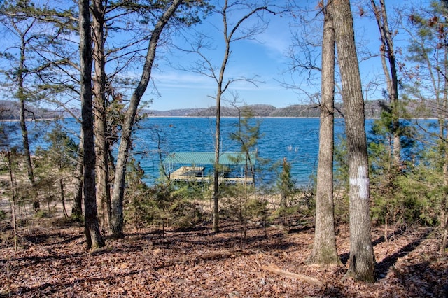 Honey Creek Rd, Eureka Springs, AR 72631 - photo 26