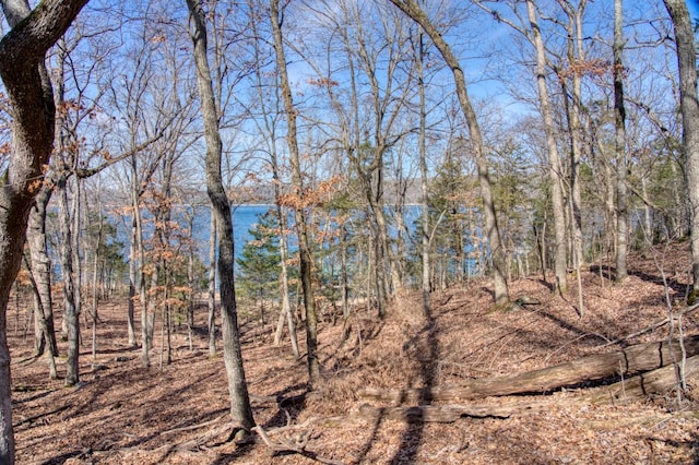 Honey Creek Rd, Eureka Springs, AR 72631 - photo 27