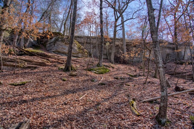 Honey Creek Rd, Eureka Springs, AR 72631 - photo 28