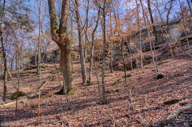 Honey Creek Rd, Eureka Springs, AR 72631 - photo 29