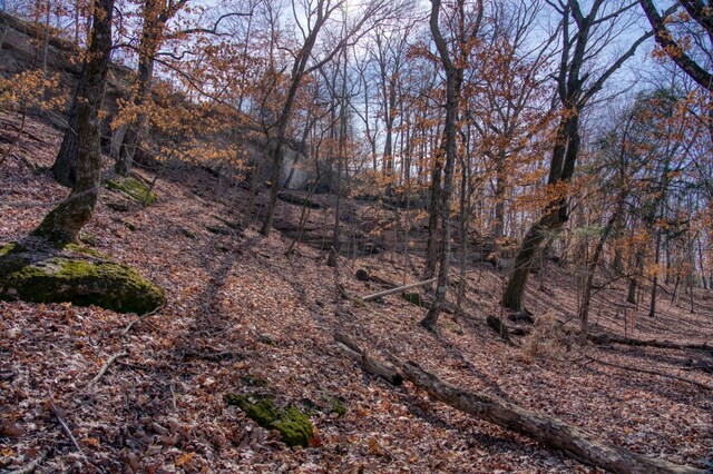 Honey Creek Rd, Eureka Springs, AR 72631 - photo 30