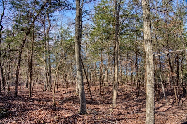 Honey Creek Rd, Eureka Springs, AR 72631 - photo 31