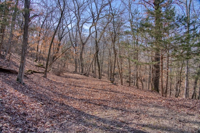 Honey Creek Rd, Eureka Springs, AR 72631 - photo 32