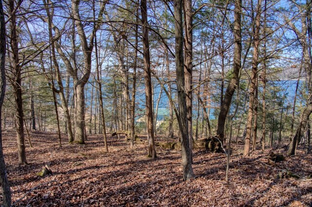 Honey Creek Rd, Eureka Springs, AR 72631 - photo 33