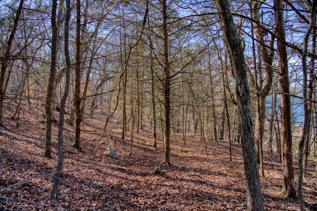 Honey Creek Rd, Eureka Springs, AR 72631 - photo 34