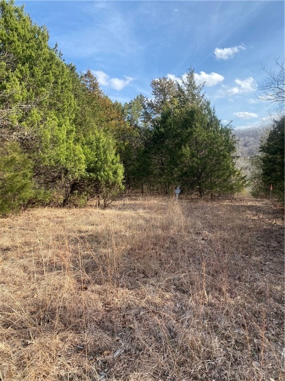 Stateline Dr, Holiday Island AR, 72631 land for sale