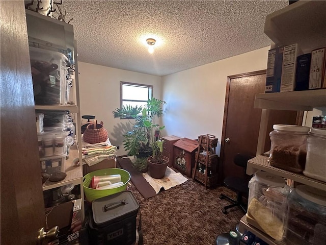 miscellaneous room featuring a textured ceiling and carpet floors