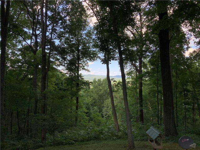 view of nature at dusk