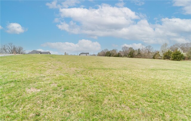 17950 Cate Farm Rd, Springdale, AR 72764 - photo 8