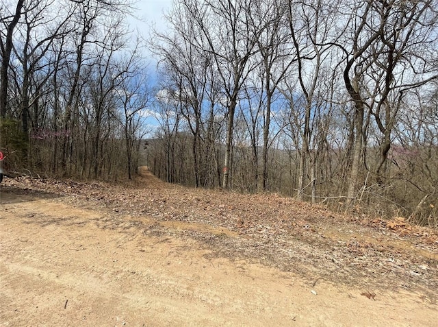 Highland Lake Dr, Garfield, AR 72732 - photo 4
