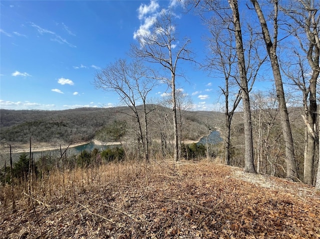Highland Lake Dr, Garfield, AR 72732 - photo 5