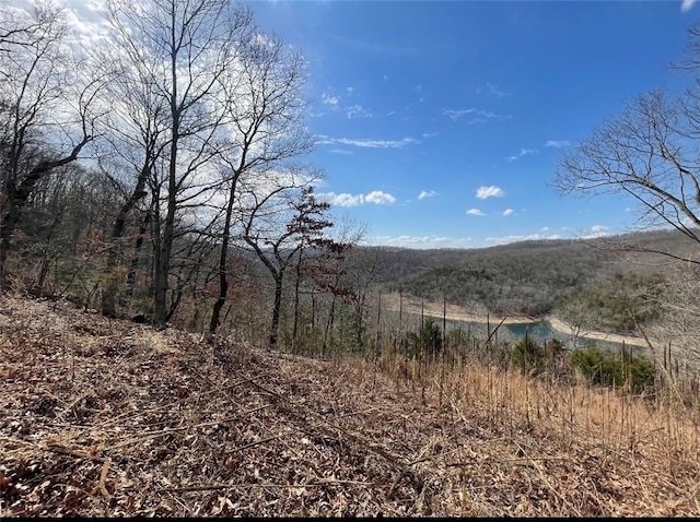 Highland Lake Dr, Garfield, AR 72732 - photo 6