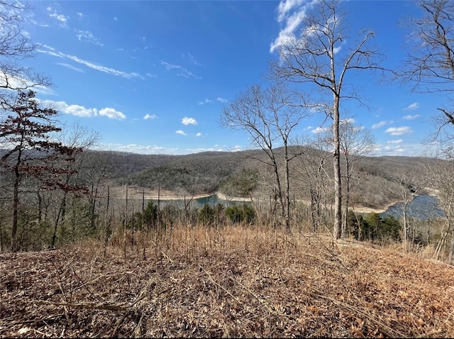 Highland Lake Dr, Garfield, AR 72732 - photo 7