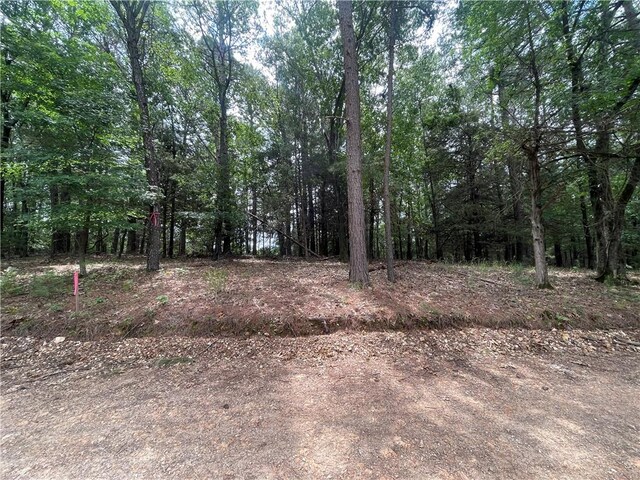 TRACT3 Pinewoods Dr, Rogers, AR 72756 - photo 4