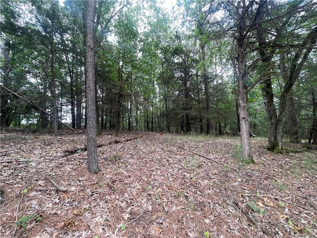 TRACT3 Pinewoods Dr, Rogers, AR 72756 - photo 6