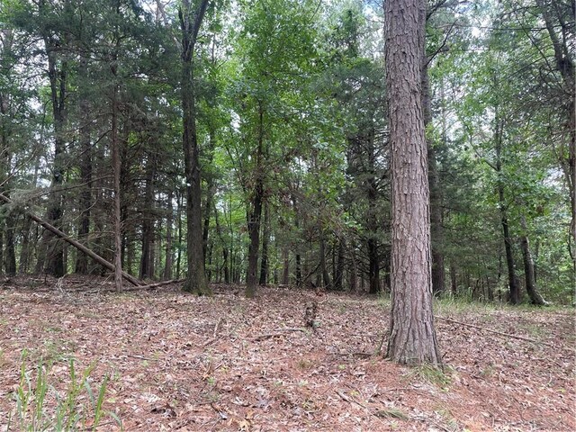 TRACT3 Pinewoods Dr, Rogers, AR 72756 - photo 8