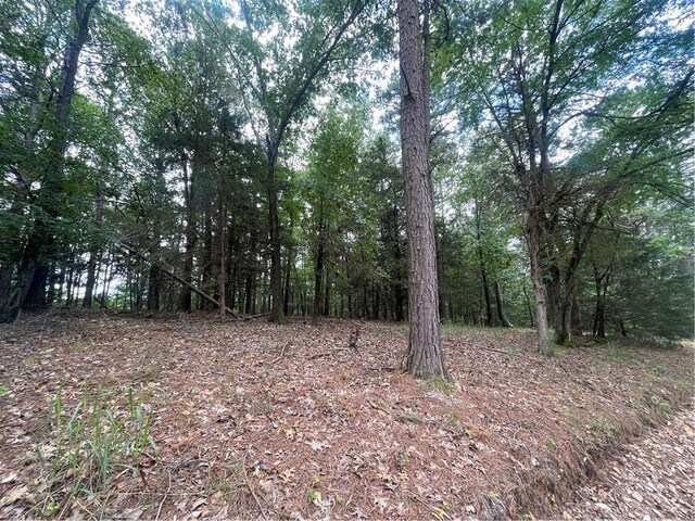 TRACT3 Pinewoods Dr, Rogers, AR 72756 - photo 9