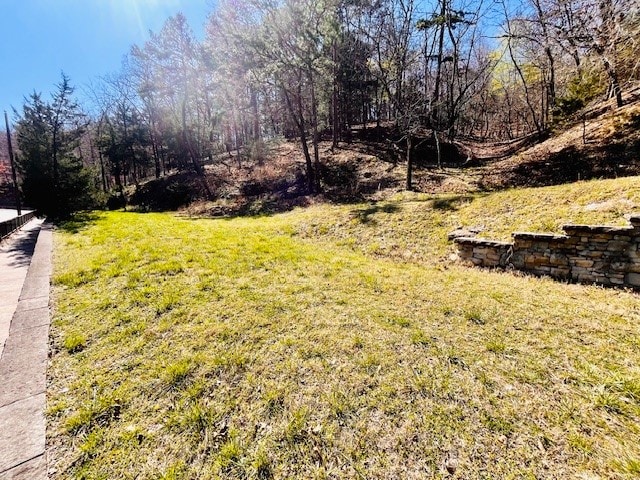 Main St, Eureka Springs AR, 72632 land for sale