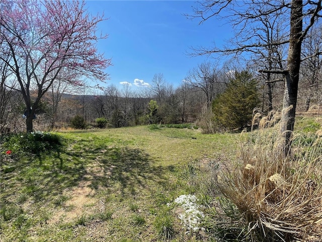 18995 Skylight Mountain Rd, Canehill, AR 72717 - view of yard