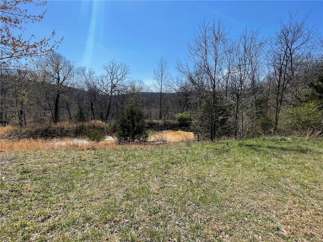 18995 Skylight Mountain Rd, Canehill, AR 72717 - view of local wilderness