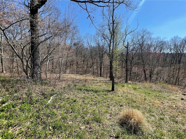 18995 Skylight Mountain Rd, Canehill, AR 72717 - view of mother earth's splendor