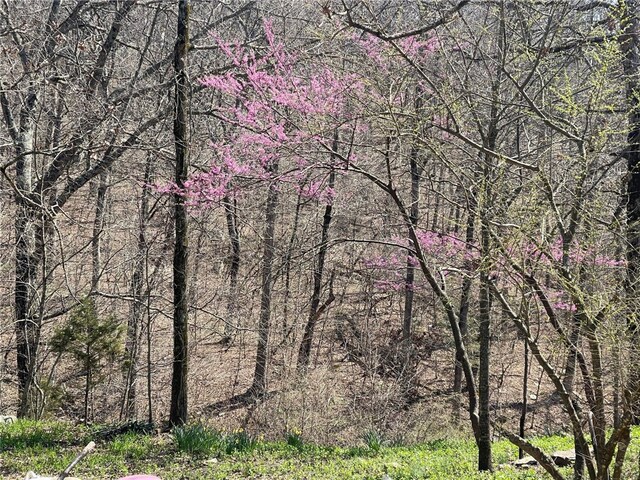 18995 Skylight Mountain Rd, Canehill, AR 72717 - view of mother earth's splendor