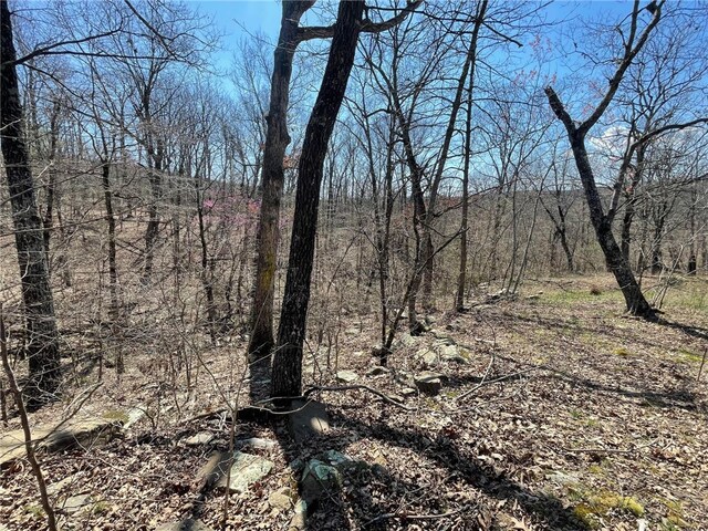 18995 Skylight Mountain Rd, Canehill, AR 72717 - view of nature